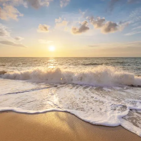 Chalet Luttikduin Nr 20 - Aan Zee Callantsoog