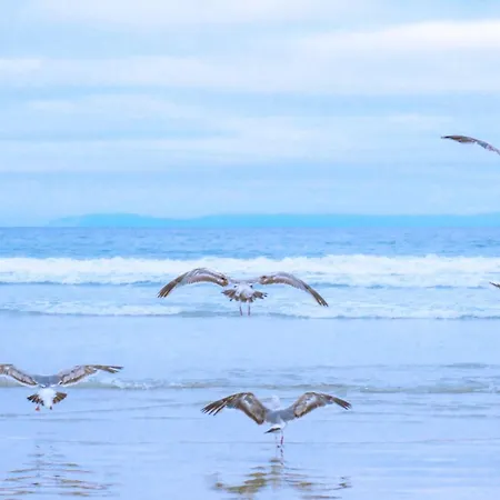 Luttikduin Nr 20 - Aan Zee *