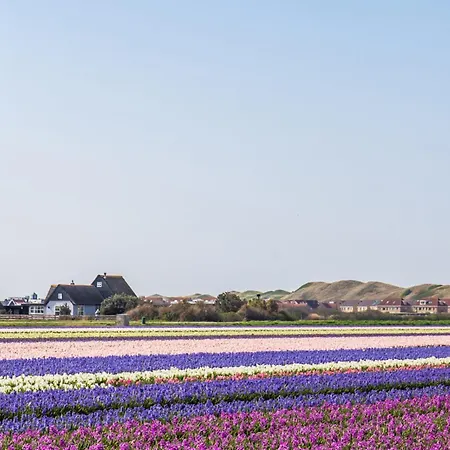 Domek alpejski Luttikduin Nr 20 - Aan Zee