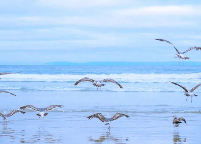 Luttikduin Nr 20 - Aan Zee *
