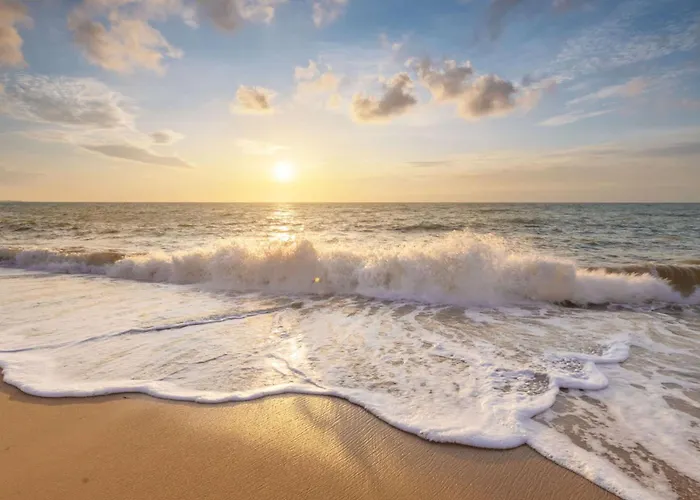 Chalet Luttikduin Nr 20 - Aan Zee Callantsoog